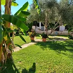 Pinturicchio Farm stay Capo Vaticano