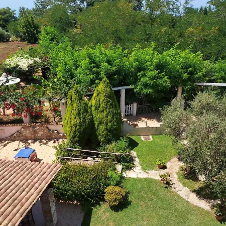 Pinturicchio Farma