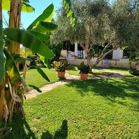 Pinturicchio Farma Capo Vaticano