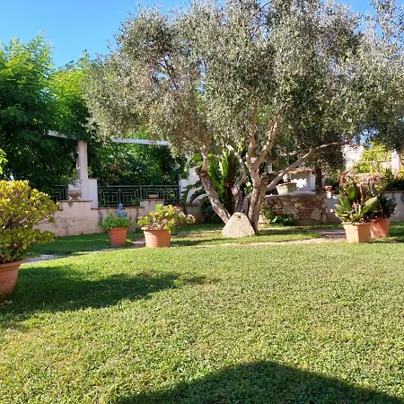 Pinturicchio קאפו ואטיצ'אנו