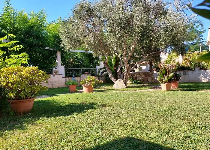 Pinturicchio Capo Vaticano